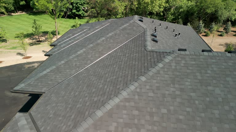 Roof Moss and Algae Removal in Chittenango, NY